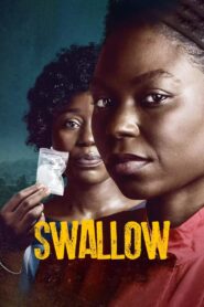 Swallow